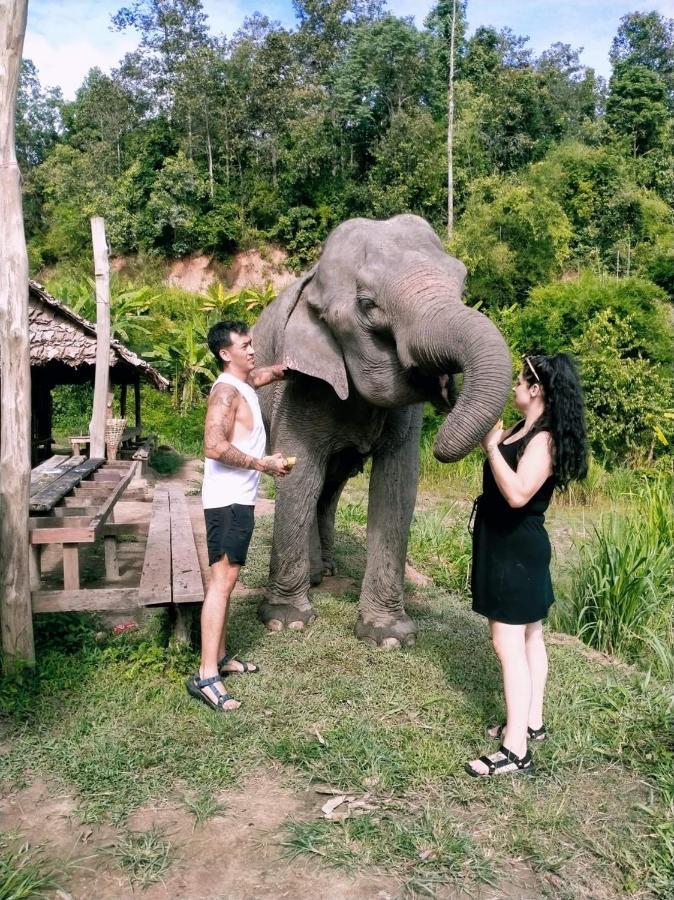 Funky Monkey Cnx - Guesthouse Chiang Mai Zewnętrze zdjęcie